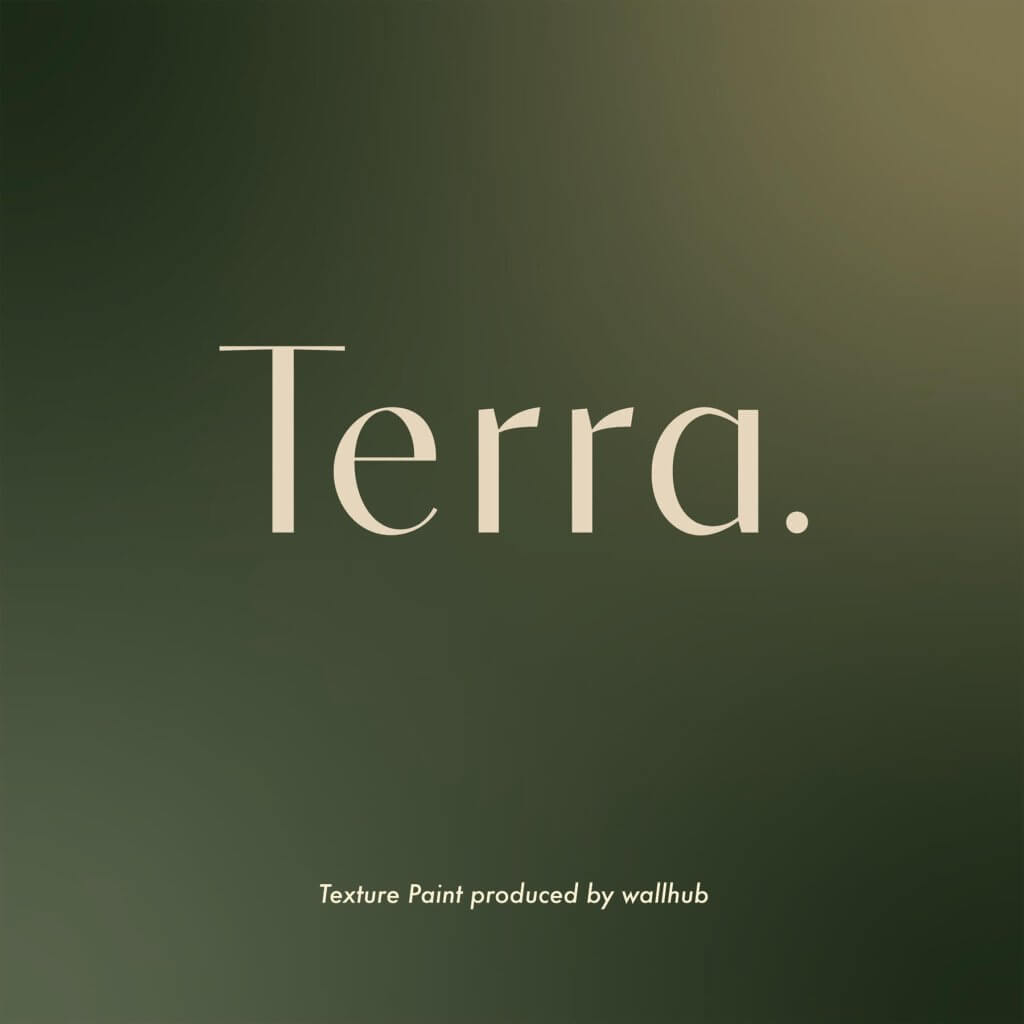 Terra Texture Paint by Wallhub (Singapore and Malaysia)